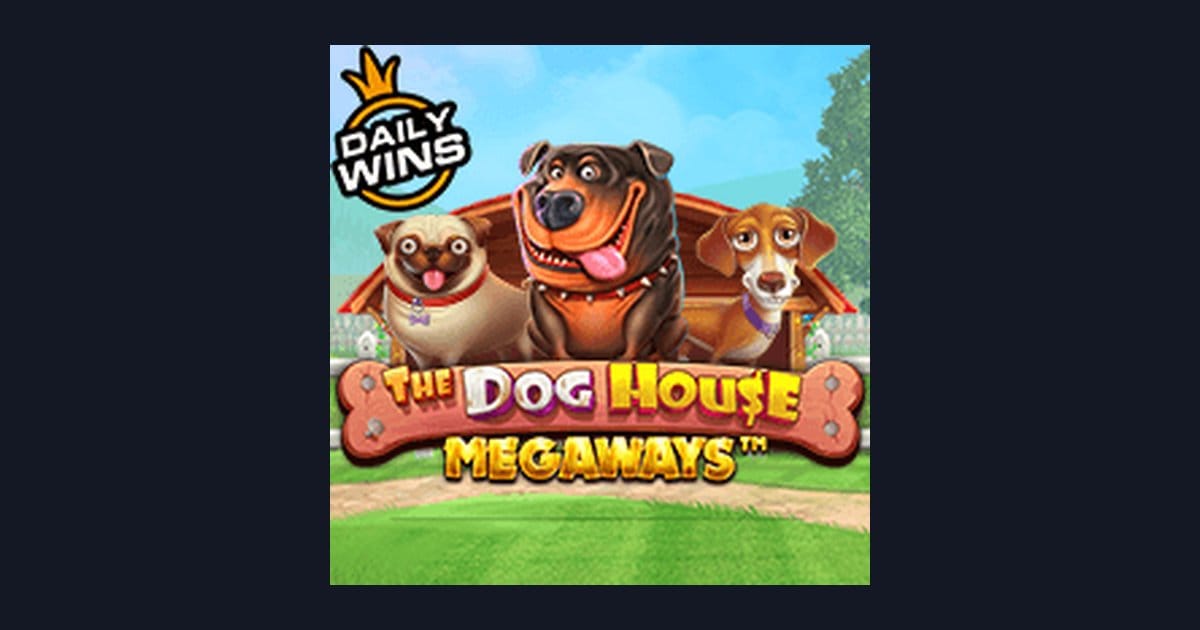 Mengenal The Dog House Megaways: Fitur Menarik & Tingkat Volatilitasnya